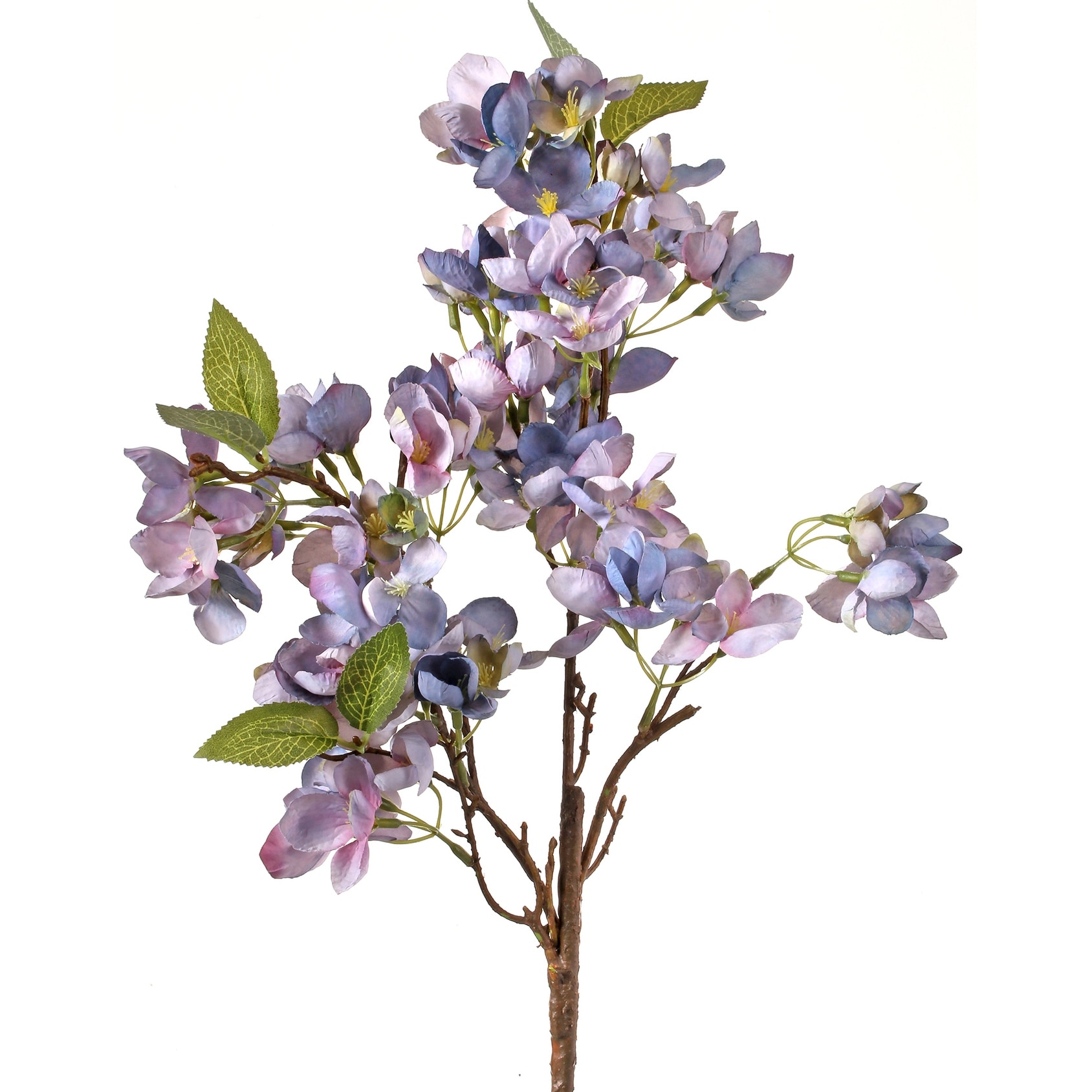 Dried Apple Blossom Spray 25" Set of 3