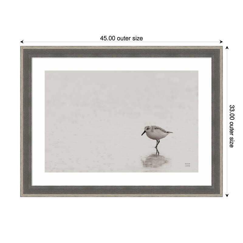 Tybee Island Sanderling by Nathan Larson Wood Framed Wall Art Print - 45 x 33 in - Grey
