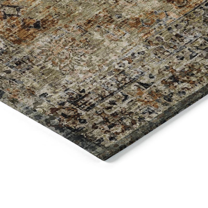 Machine Washable Indoor/Outdoor Vintage Traditional Chantille Rug