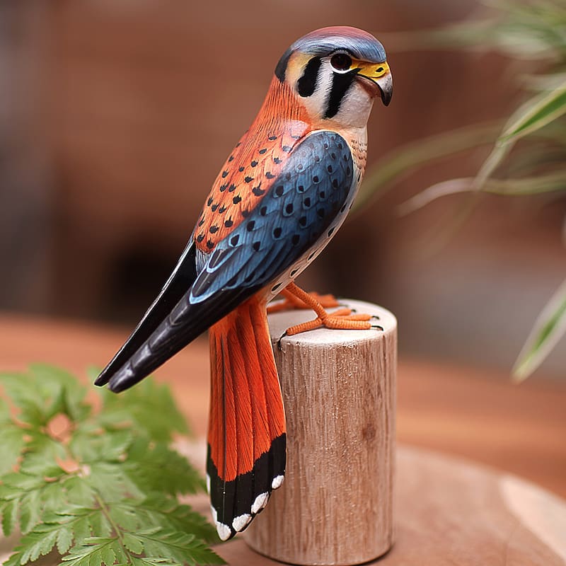 Novica Handmade American Kestrel Wood Sculpture