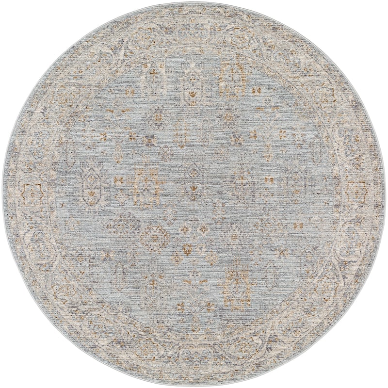 Livabliss Traditional Avant Garde Medallion Area Rug - 5'3" x 5'3" Round - Pale Blue