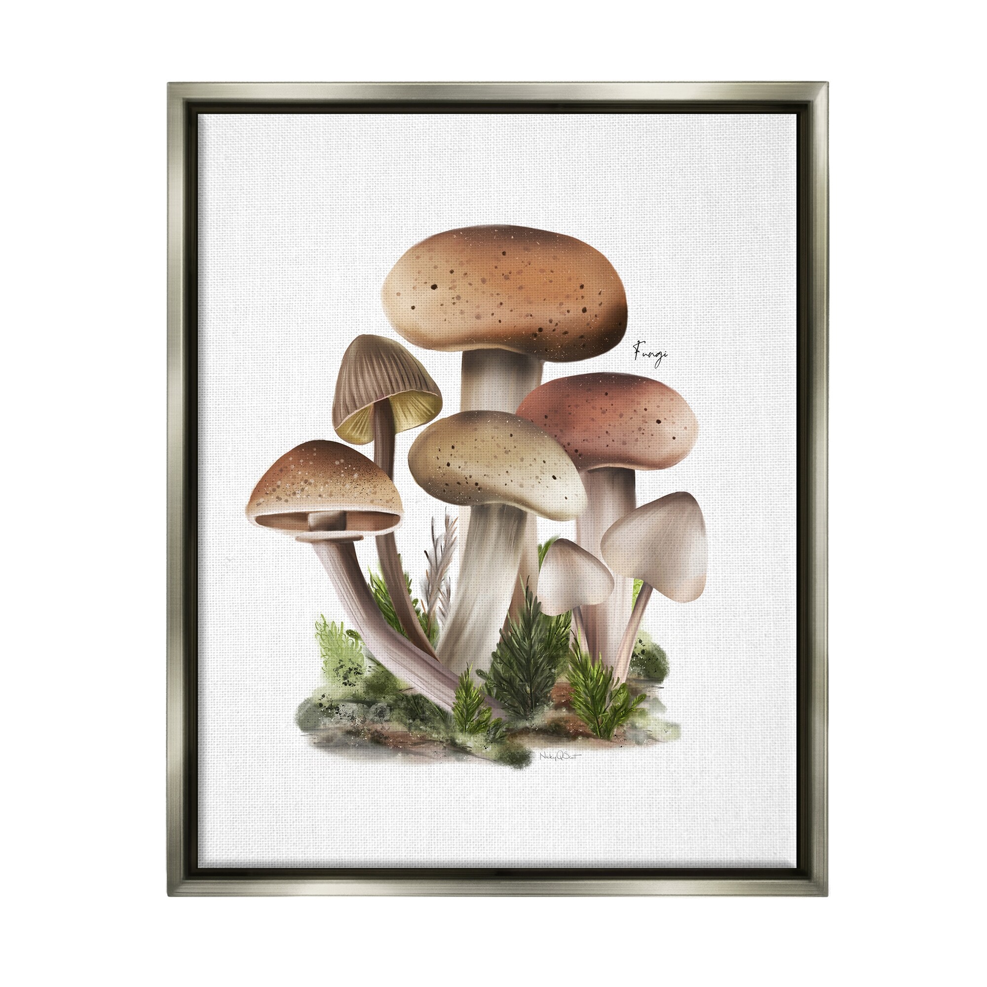 Stupell Mushrooms on White Framed Floater Canvas Wall Art Design by Studio Q