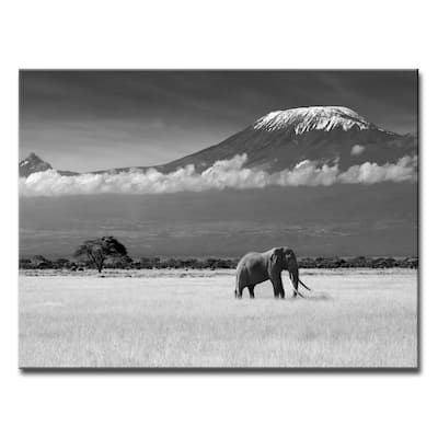 Lost Colors II' Scenic Wrapped Canvas Wall Art