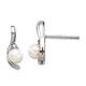 Option Pearl