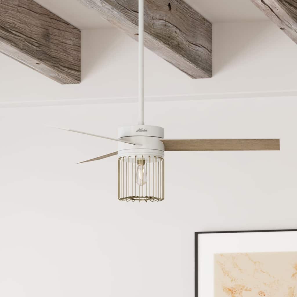 Hunter 52" Ronan Ceiling Fan with LED Light Kit and Handheld Remote - Modern, Contemporary, Transitional, Industrial, Cage