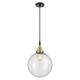 Option Black Antique Brass / Seedy Shade