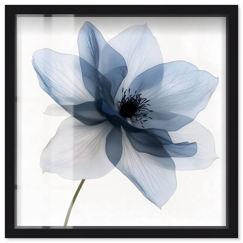 Morning Petalia I Shadowbox by Art Remedy - Black - 24" x 24"
