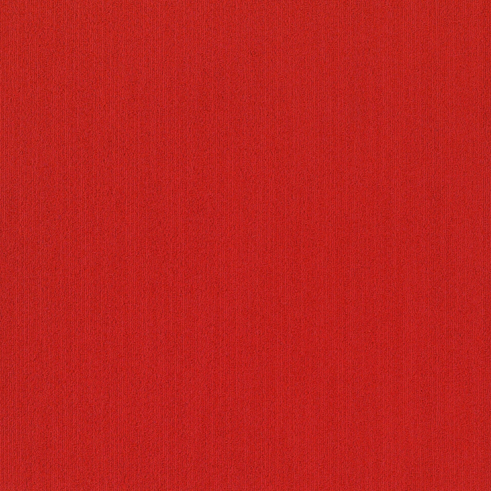 Shaw Philadelphia Commercial Color Accents TL 24" x 24" Glue Down