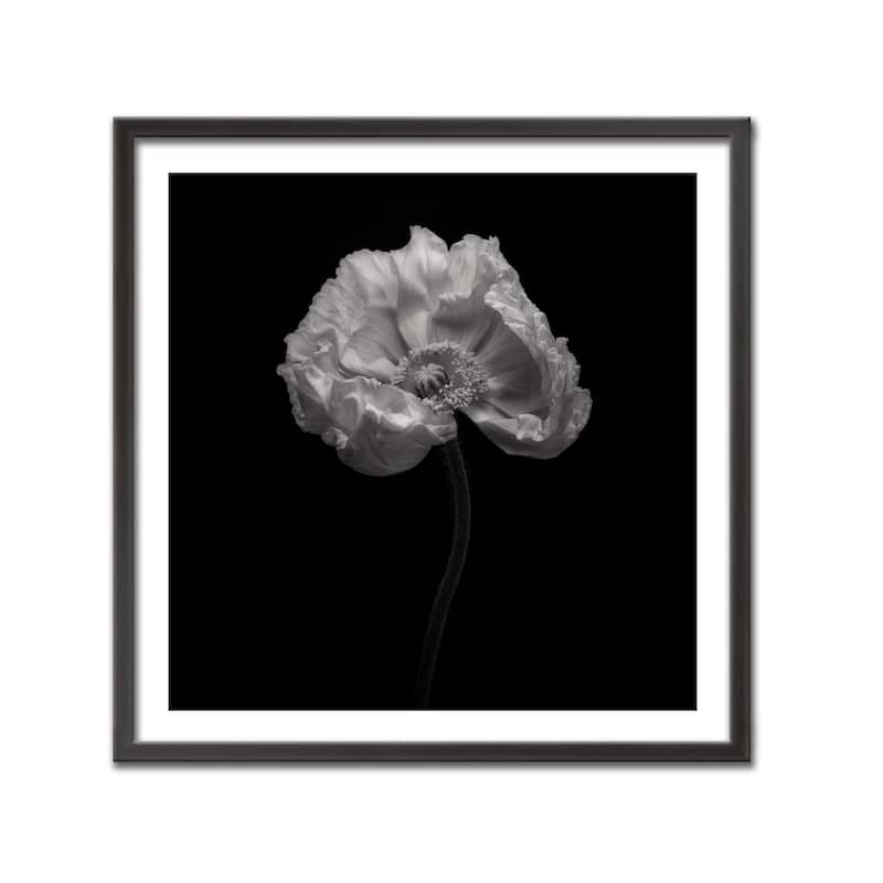 "Poppy" Framed Print Wall Art by Lotte Gronkjar