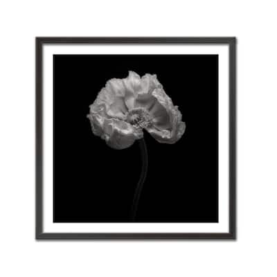 "Poppy" Framed Print Wall Art by Lotte Gronkjar