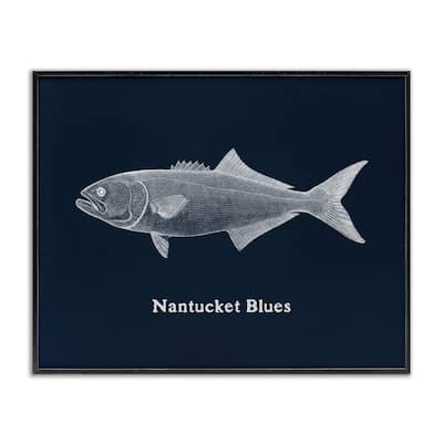 Stupell Nantucket Blues Fish Framed Giclee Art Design By Phillipa Katz