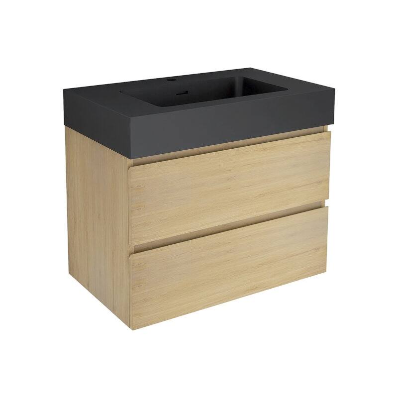 24 in. W x 18 in. D x 25 in. H Single Sink Wall Mounted Bath Vanity for Modern Bathroom Black Sink Basin