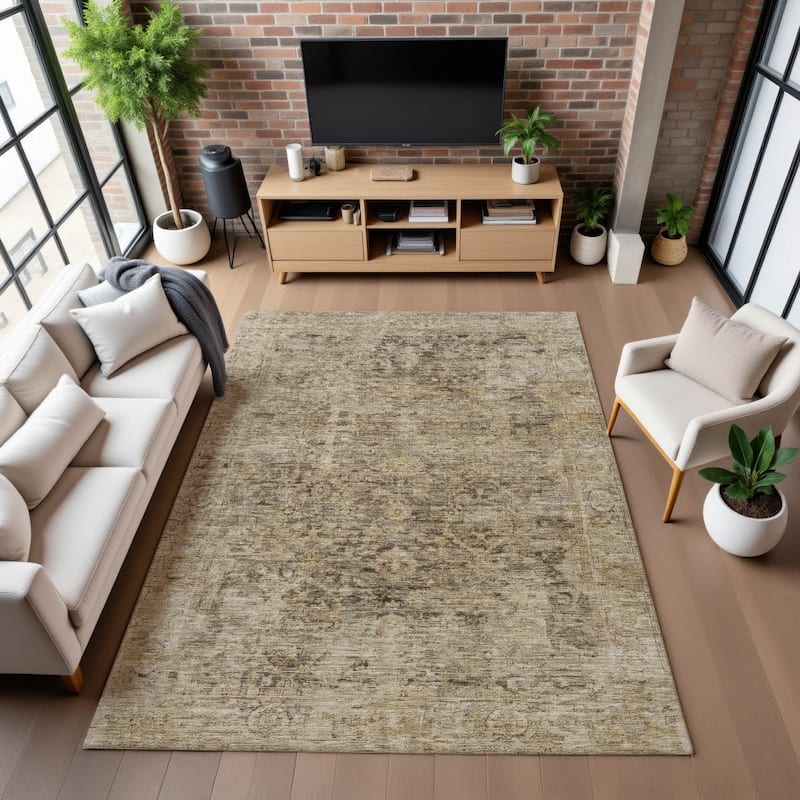 Premium Washable Super Soft Vintage Traditional Mayfield Rug