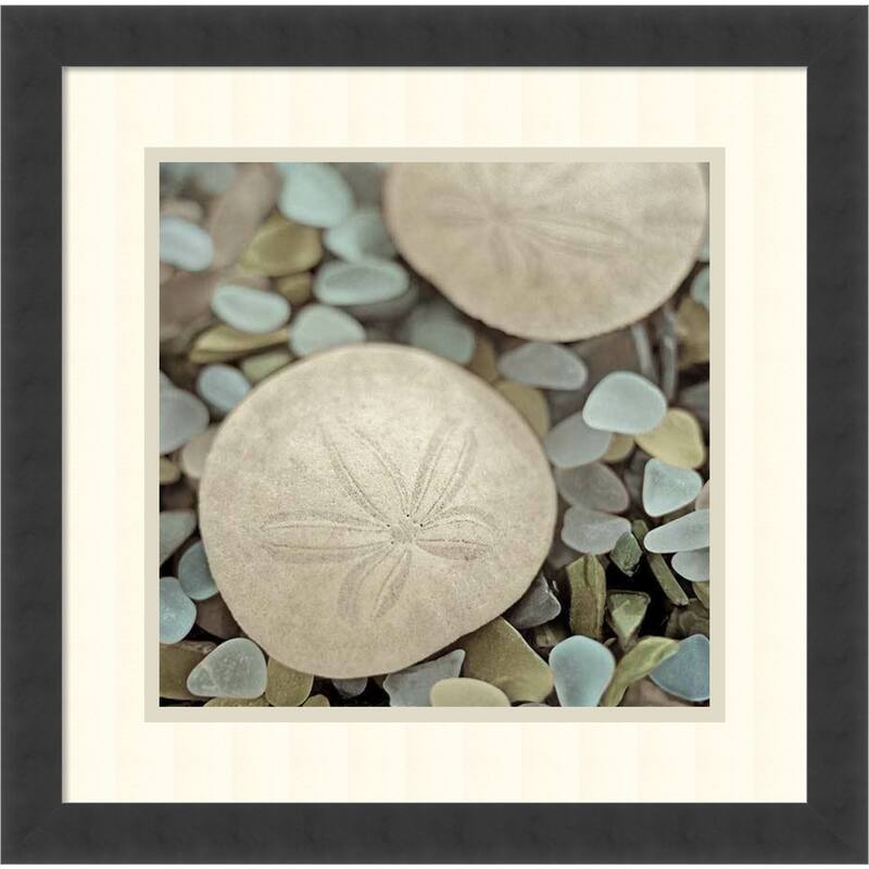Framed Art Print 'Aquatic 2' by Alan Blaustein