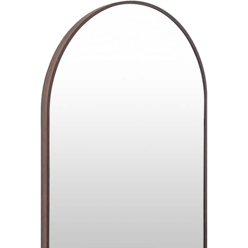 Livabliss Aranya Modern Aluminum Oval Pill-Shaped Accent Mirror