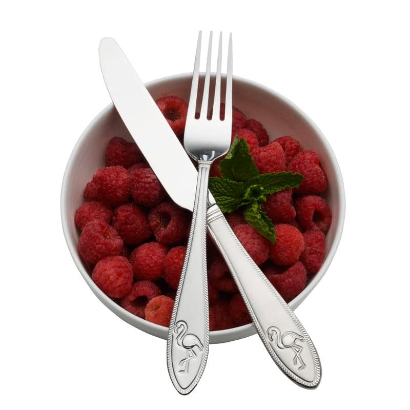 Towle Everyday Flamingo 20 Piece Stainless Steel Flatware Set
