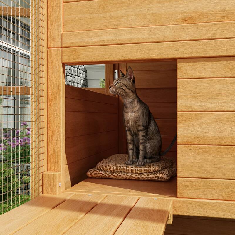 Cat Catio Window Box for 6 to 8 Kittens, Lockable House with 5 Windows