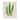 Stupell Natural Fern Branch Trio Canvas Wall Art Design By Phillipa Katz