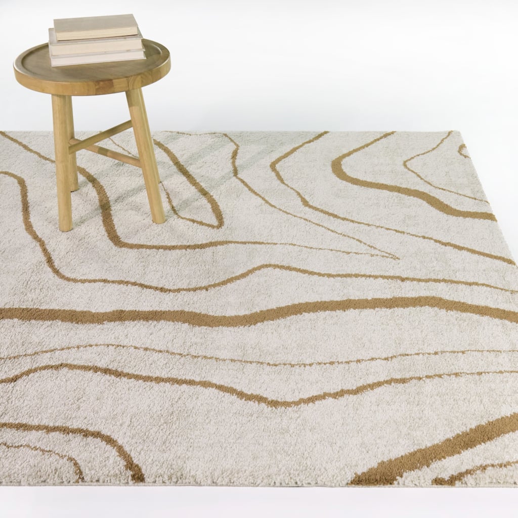 Aldous Abstract Contemporary Area Rug