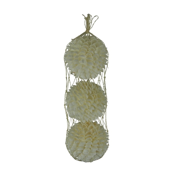 White Clamrose Shell Decor Ball Figurine Set of 3 - 3.75 X 3.75 X 3.75 inches