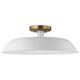Option Matte White / Burnished Brass