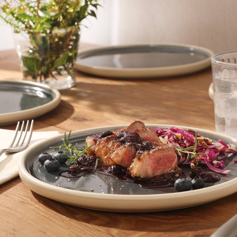 Gibson Elite - Made in Portugal - Port Gaia 10.2 Inch Dinner Plates Set of 4 - Reactive Glaze Dish Set