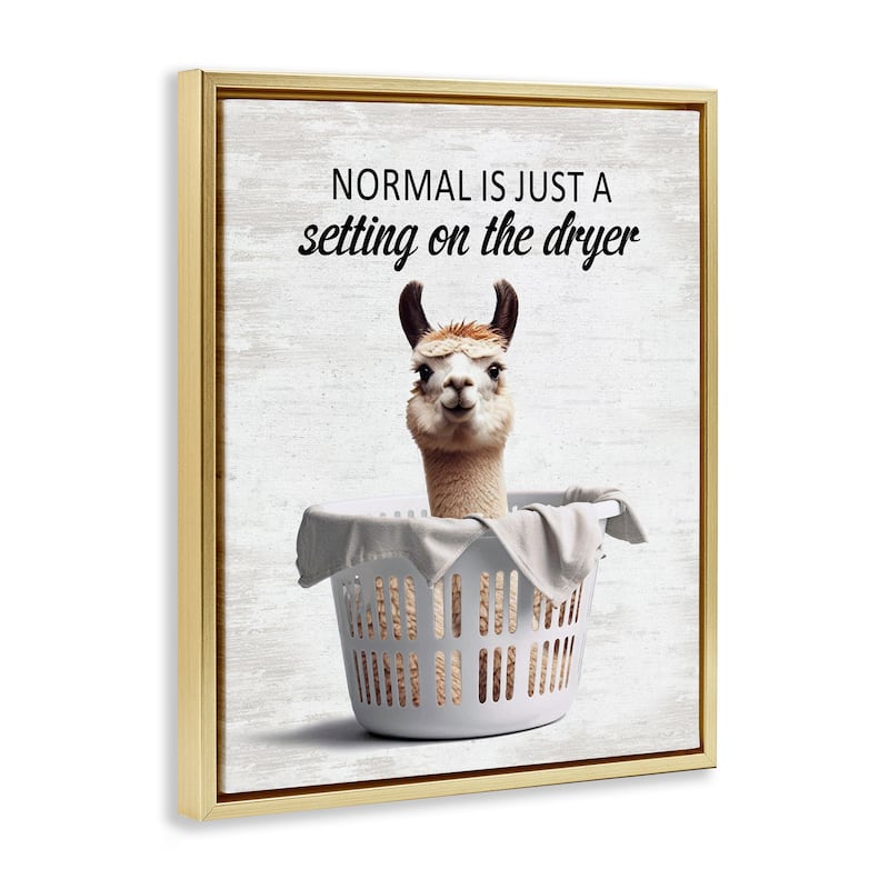 Stupell Funny Normal Dryer Quote Framed Floater Canvas Wall Art Design By Lettered and Lined