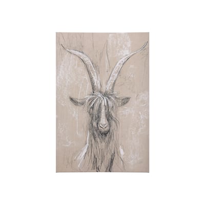 Sketch of Animal V (Goat) (30 x 45) Canvas Art Print