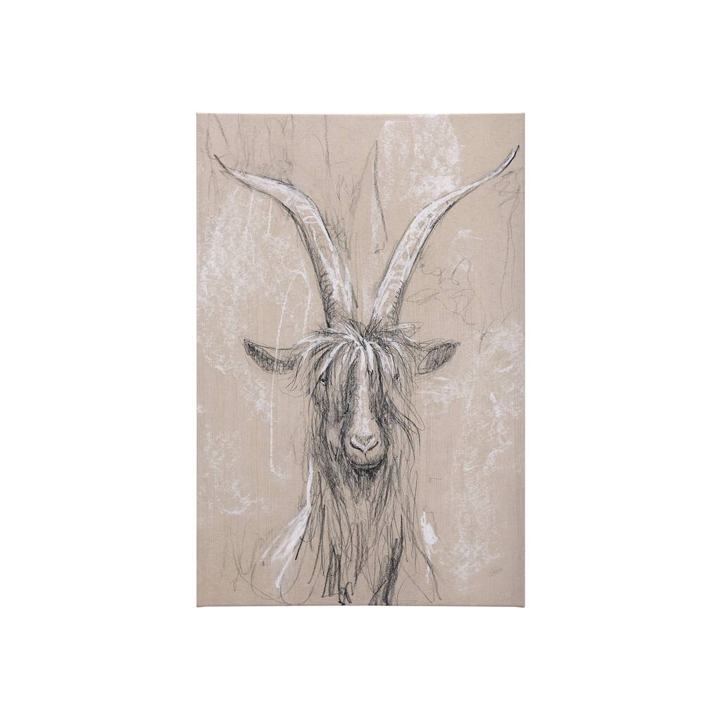 Sketch of Animal V (Goat) (30 x 45) Canvas Art Print