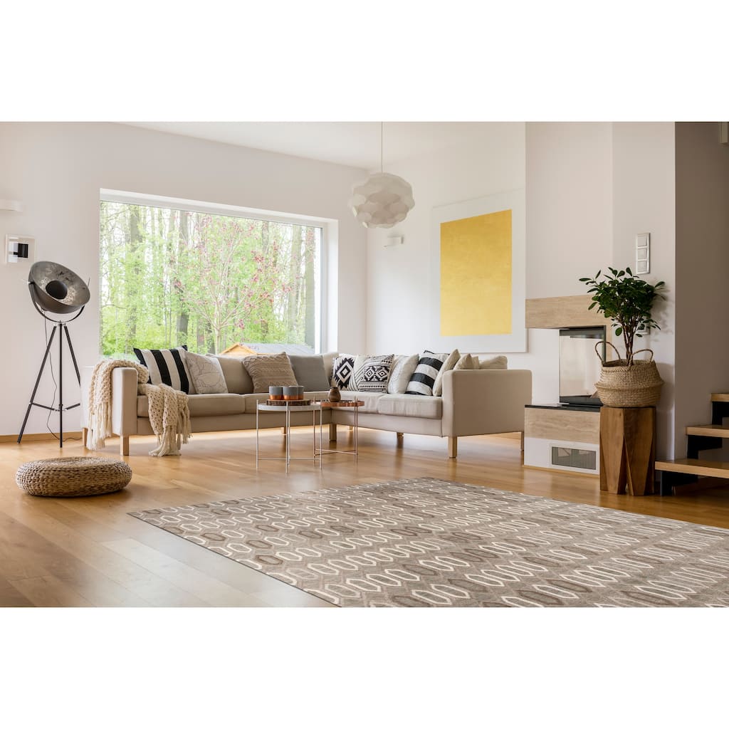 Brown Transitional Trellis Raga Area Rug - Elegant and Timeless Design - 8' x 10'