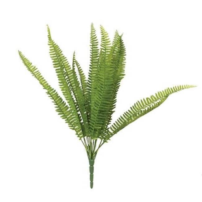 Kimberly Stand Up Fern Bush 22"
