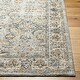 preview thumbnail 9 of 16, Livabliss Transitional Beckham Medallion Area Rug