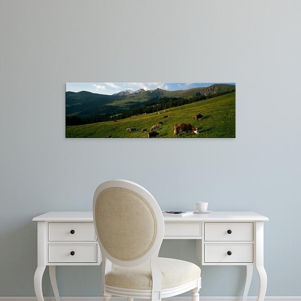 Easy Art Prints Panoramic Images's 'Cows grazing in a meadow, Swiss Alps, Switzerland' Premium Canvas Art