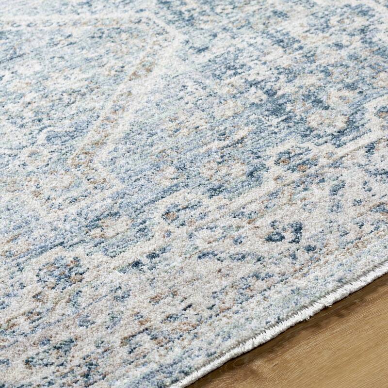 Ingle Traditional Medallion Area Rug