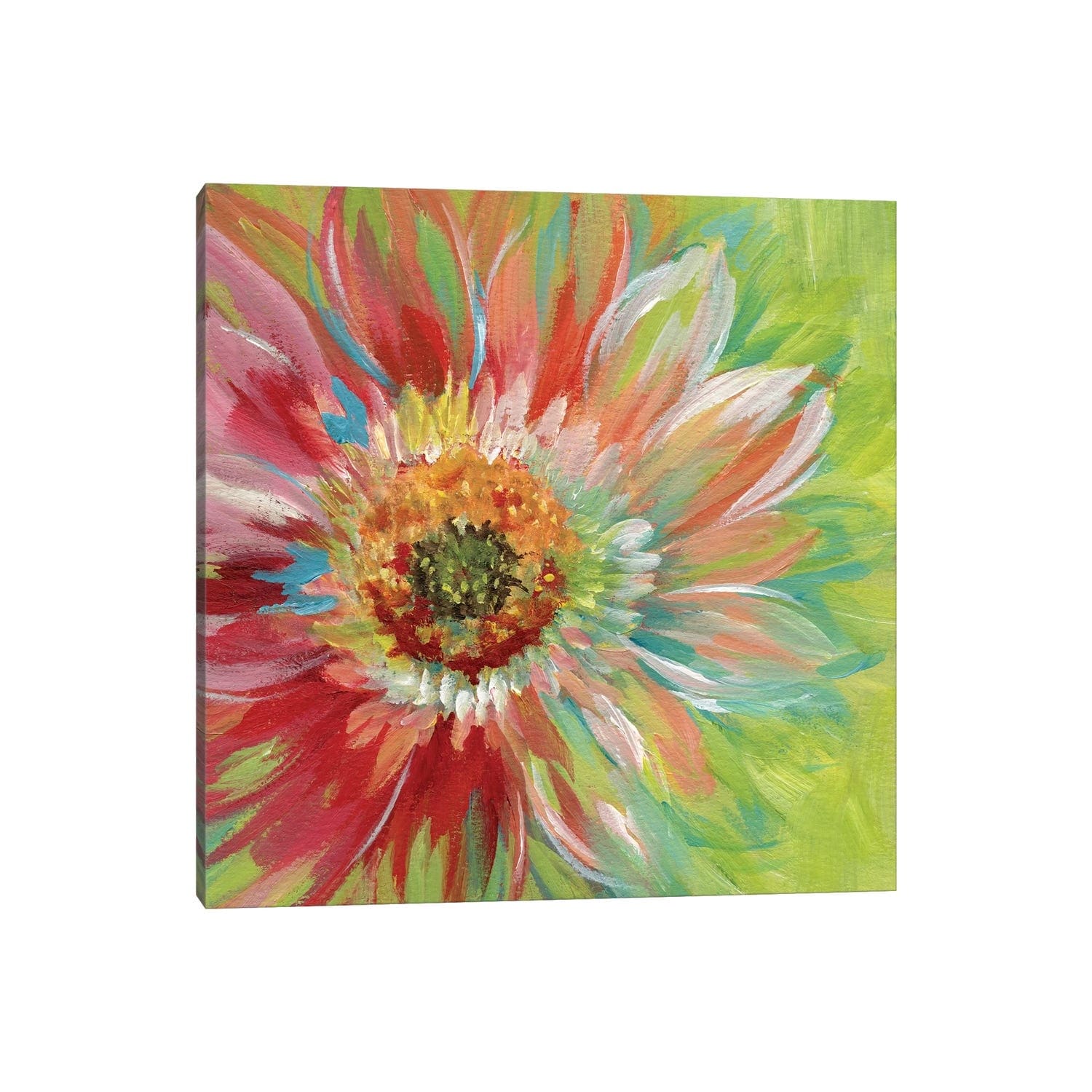 iCanvas "Bright Sunburst" by Nan Canvas Print