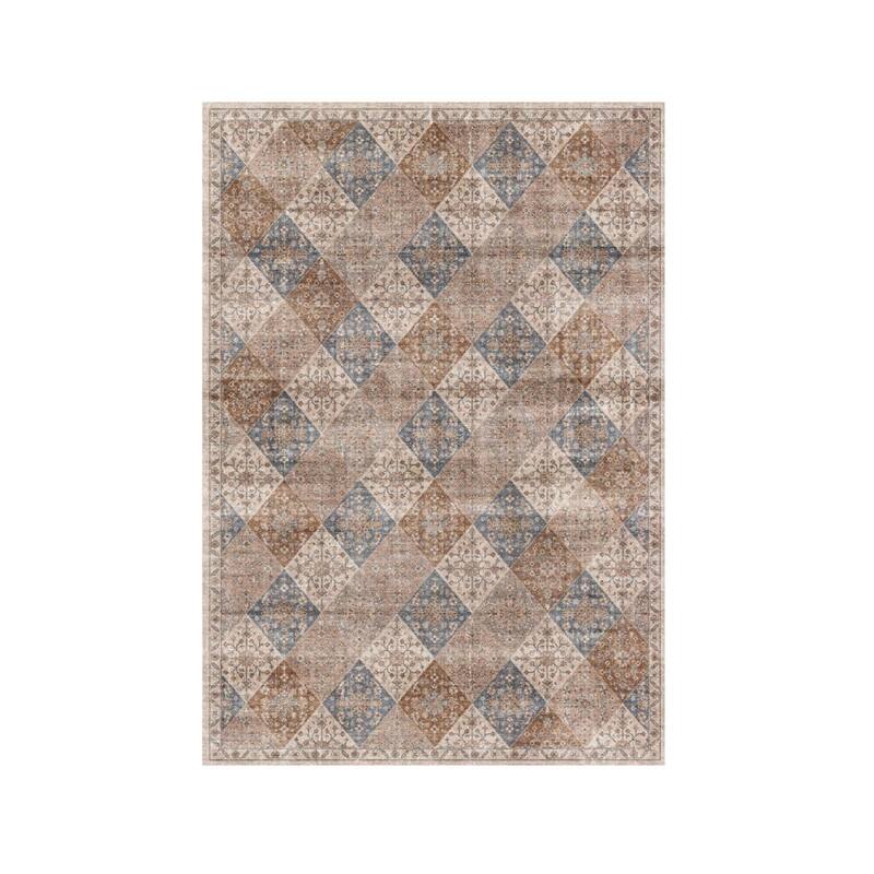 Qovav Distressed Floral Traditional Stain Resistant Woven Durable Area Rug By HomeRoots