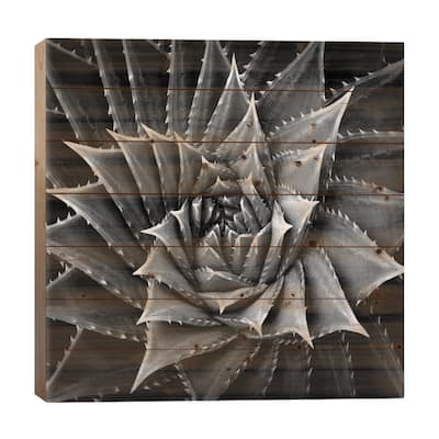 Black & White Succulent I Print On Wood by Mia Jensen - Multi-Color