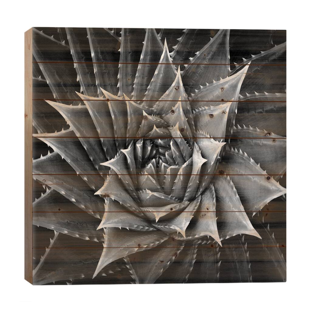 Black & White Succulent I Print On Wood by Mia Jensen - Multi-Color