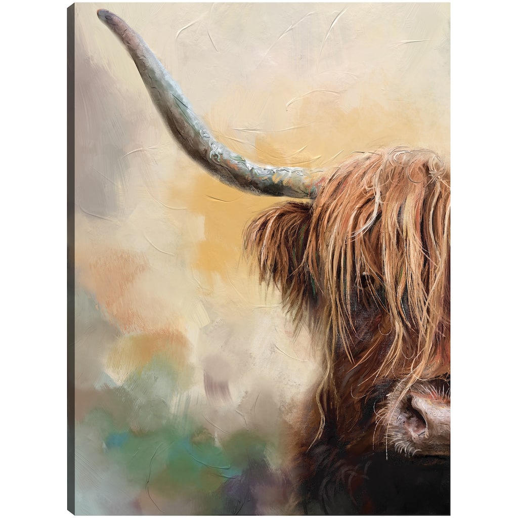 Highland By Studio Arts Canvas Art Print
