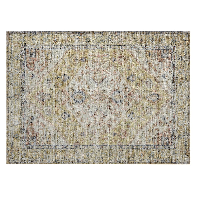 Machine Washable Indoor/ Outdoor Vintage Traditional Chantille Rug