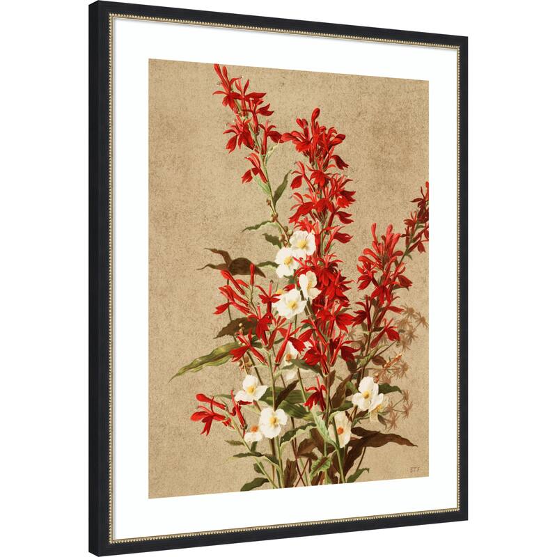 Cardinal Flowers by Ellen Thayer Fisher Wood Framed Wall Art Print