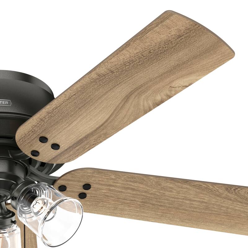 Hunter 52" Shady Grove Ceiling Fan with LED Light Kit/ Pull Chain, Standard or Flush Mount - Casual, Transitional