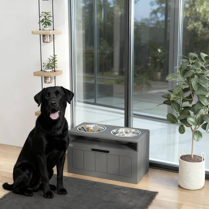Elevated Dog Bowls with 2 Stainless Steel Bowls