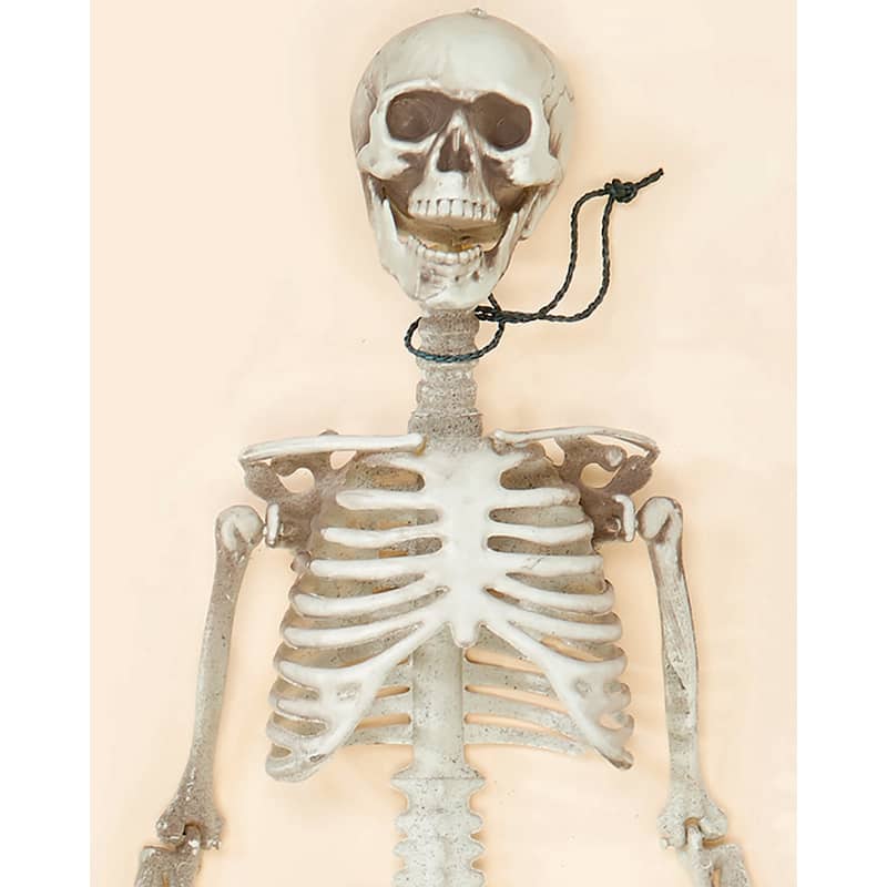 36" Posable Skeleton