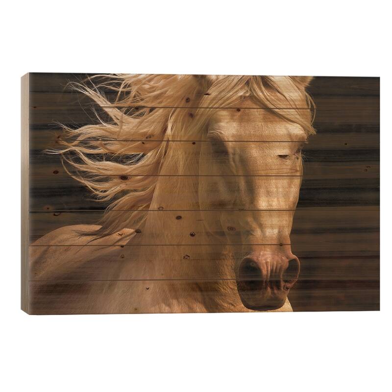 Kieto II Print On Wood by Tony Stromberg - Multi-Color - 18x26x1.5