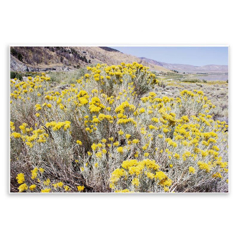 Stupell Yellow Flowers in Arid Meadow Wall Plaque Art Design By Gemma Bardot - 19 x 13