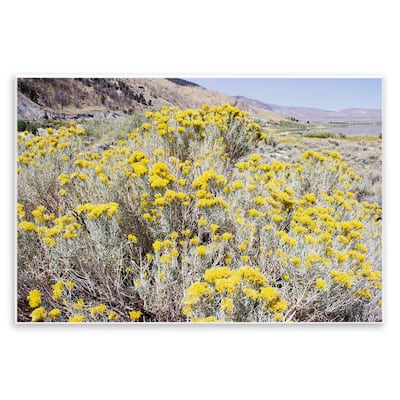 Stupell Yellow Flowers in Arid Meadow Wall Plaque Art Design By Gemma Bardot