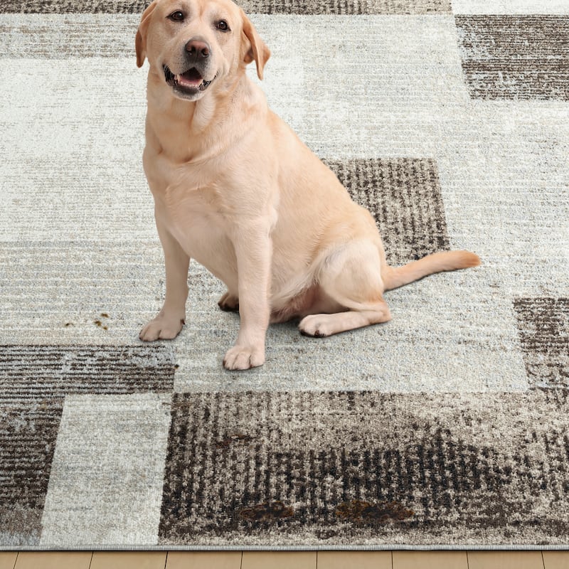 Everwash Treasure Creed Modern Geometric Machine Washable Area Rug, Brown/Beige