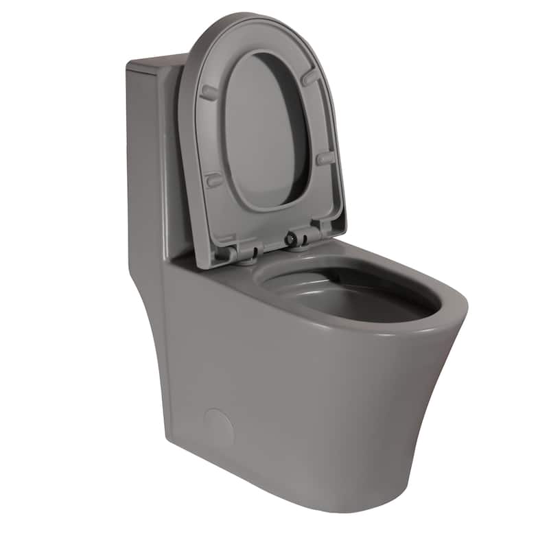 Matte Grey Elongated One Piece Toilet
