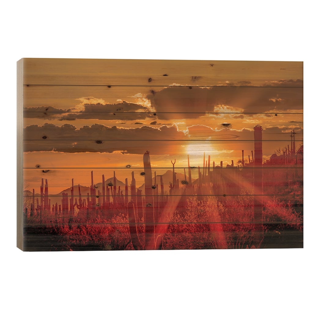 USA, Arizona, Tucson, Saguaro National Park I Print On Wood by Peter Hawkins - Multi-Color